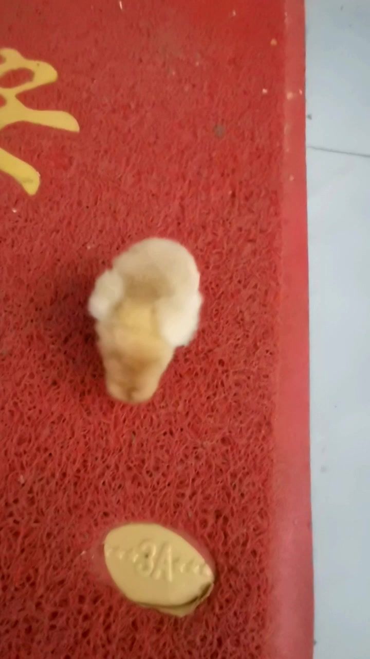 video-5812272