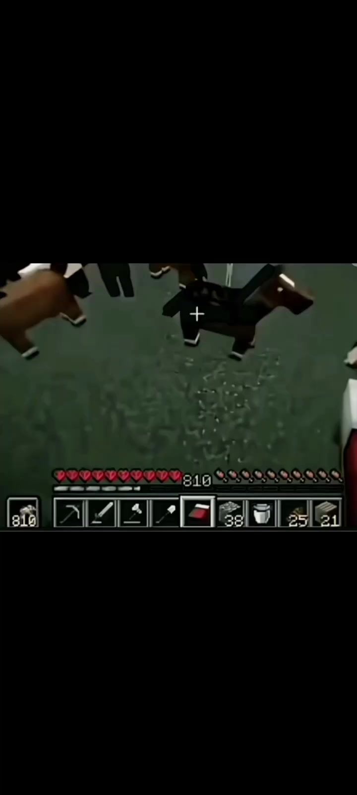 video-5817252