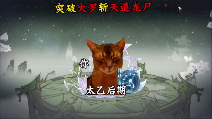 突破大罗斩天道龙尸截图