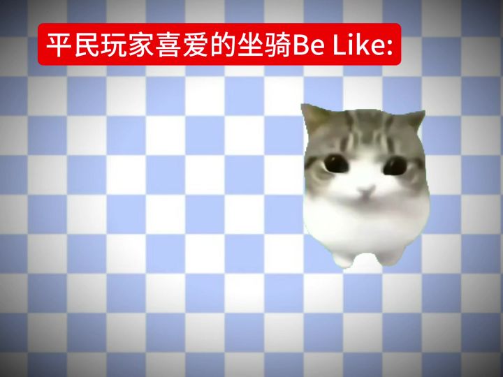 平民最受欢迎的坐骑排行。截图