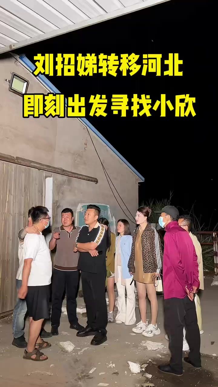 又晚一步让刘招娣跑去河北截图