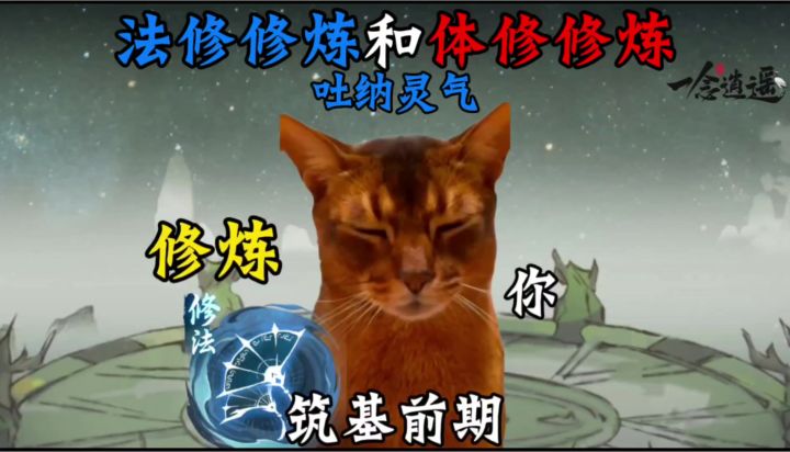 法修修炼和体修修炼截图