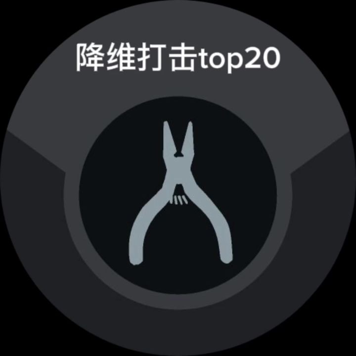 第二届降维打击-Surpass top20数据雷达图截图