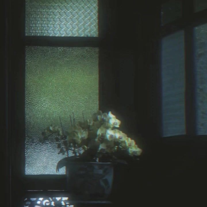 video-5830133