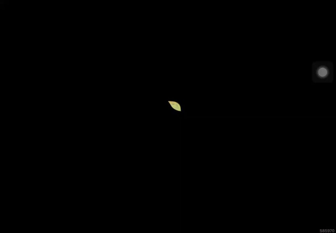 video-5833353