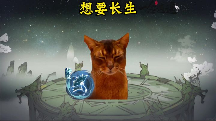 想要长生截图