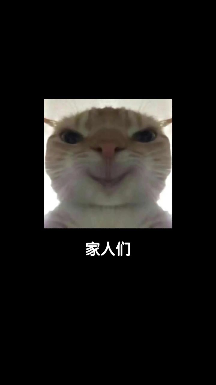 🍳解忧梦幻岛别再那么玩了!截图