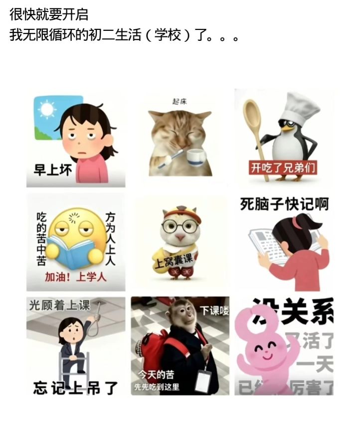 很快就要开启我无限循环的初二生活(学校)了。。。截图