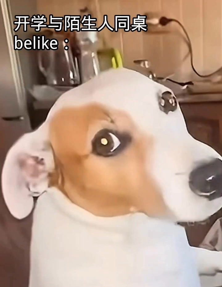 video-5848315
