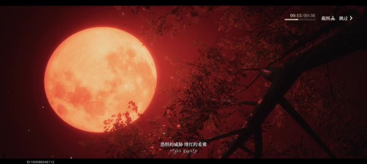 存放视频截图