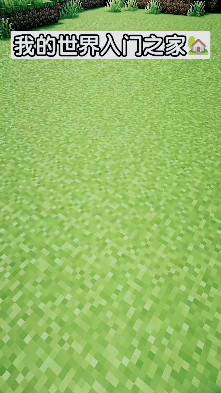 我的世界：入门之家建造教学🏠截图