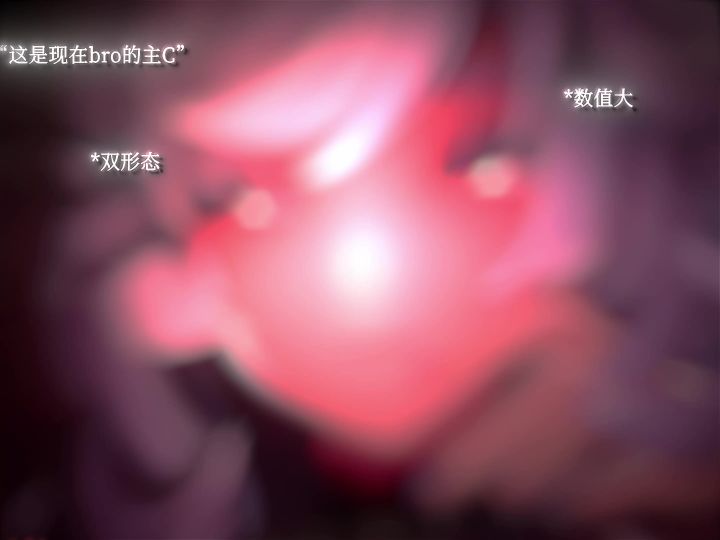 “当bro问我的主C是谁时”截图