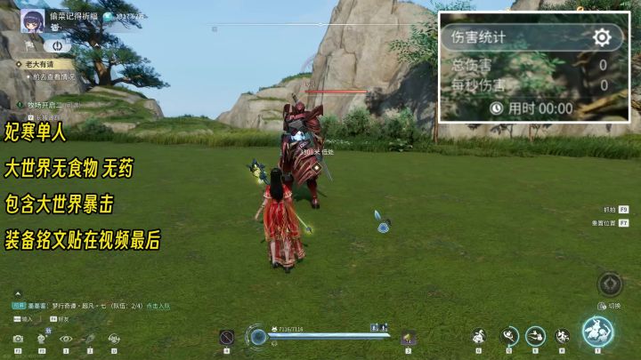 妃寒单人一分钟打桩DPS,无食物,无药截图