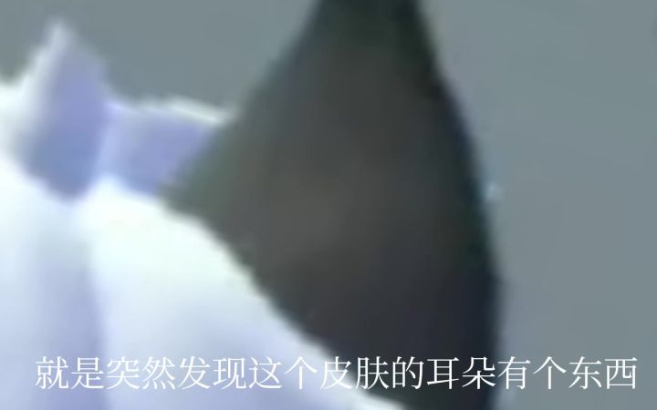 闪电朗朗的耳朵居然有个东西截图