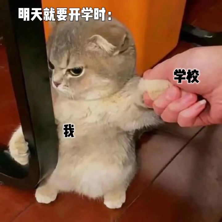 明天就要开学时:截图