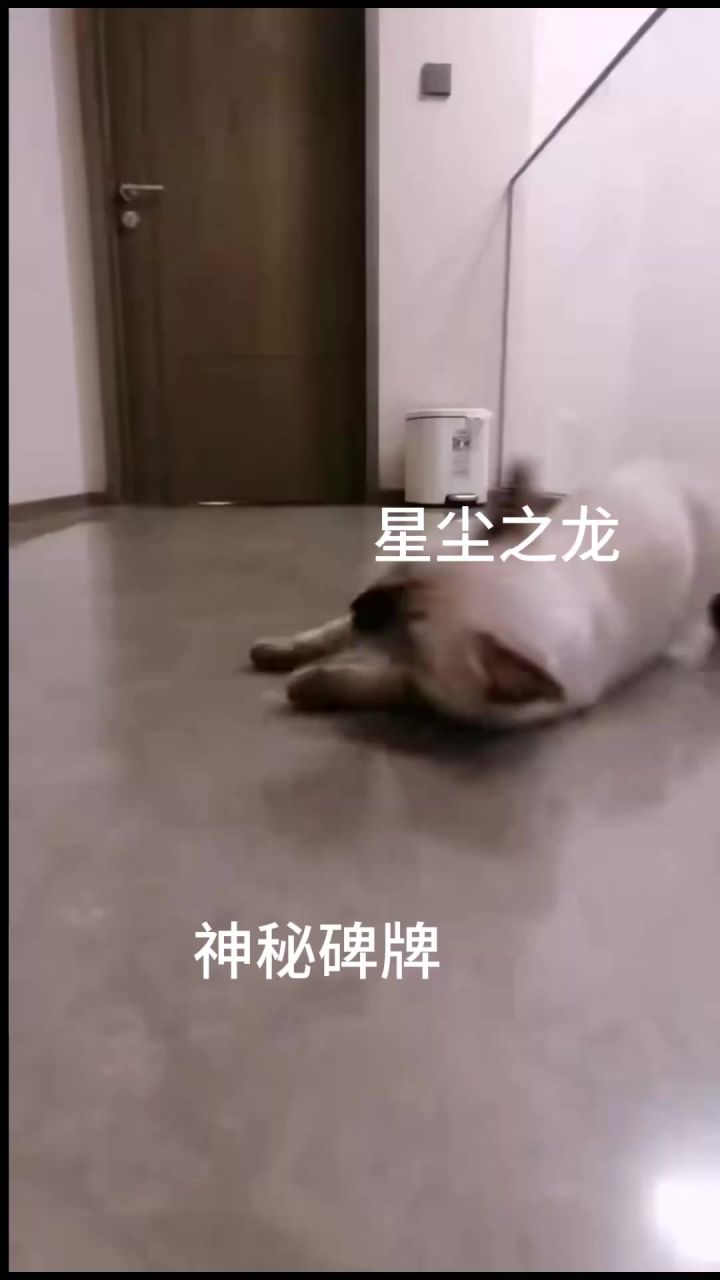 谁懂召唤师的痛截图