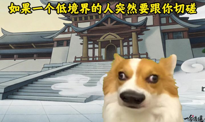 如果一个低境界的人突然要跟你切磋截图