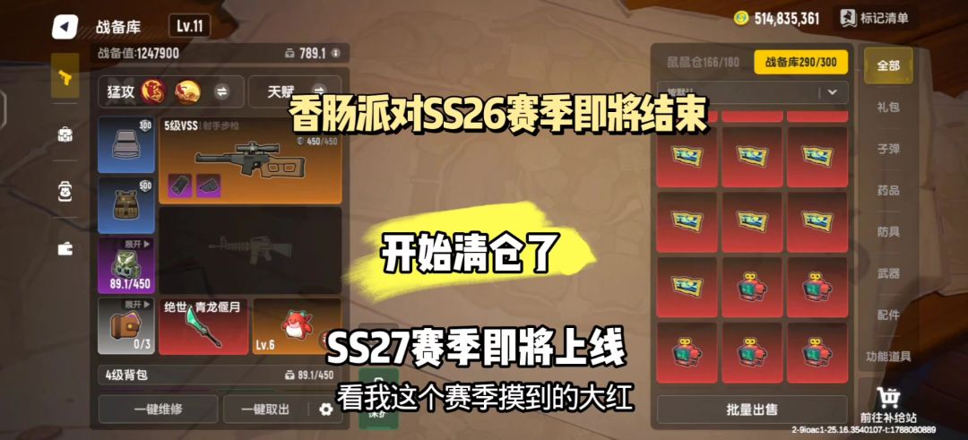 video-5865460