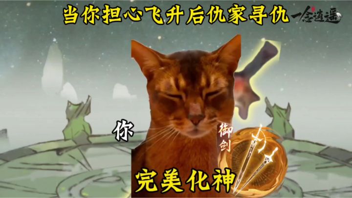当你担心飞升后仇家寻仇截图