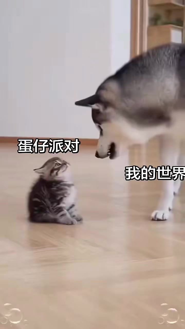 video-5868995