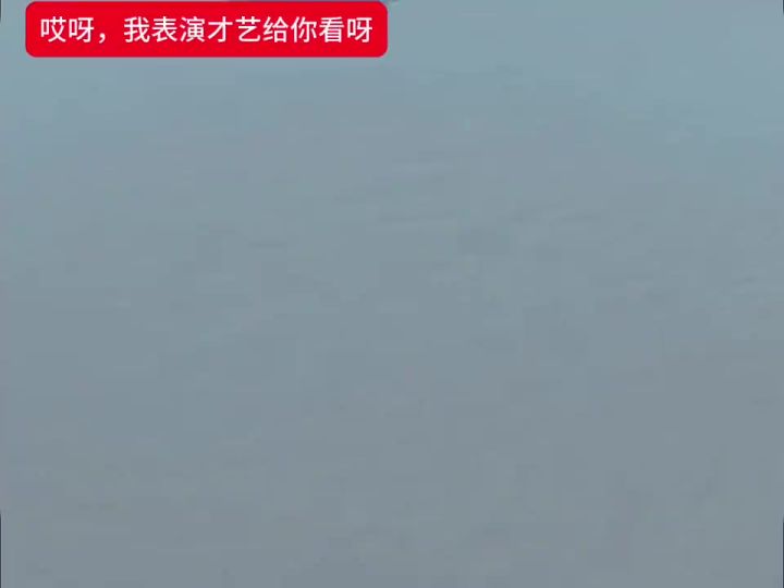蛋仔派对截图