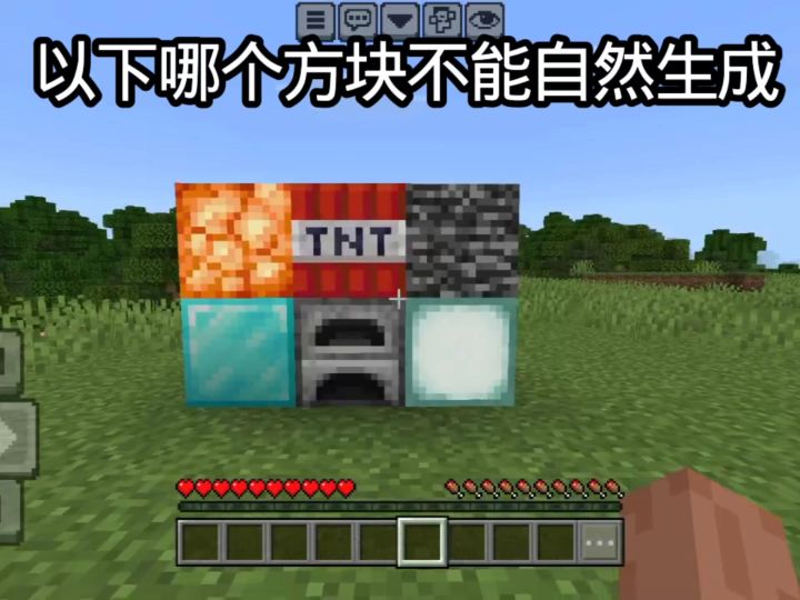 以下哪个方块不能自然生成截图