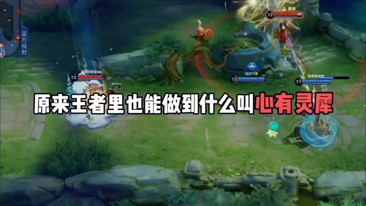 原来王者里也能做到什么叫心有灵犀截图