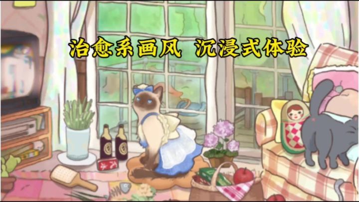 给牙剔菜叶 修脚指甲 清洗化妆盘截图