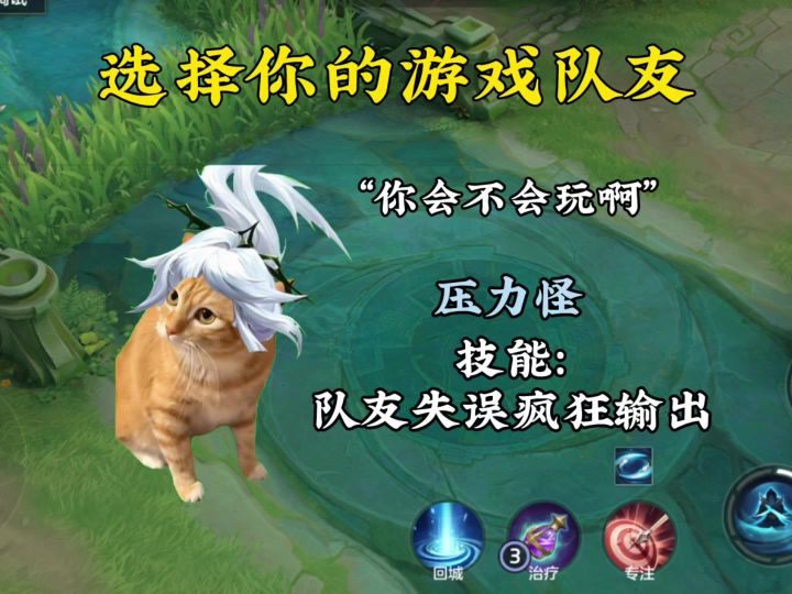 选择你的队友截图