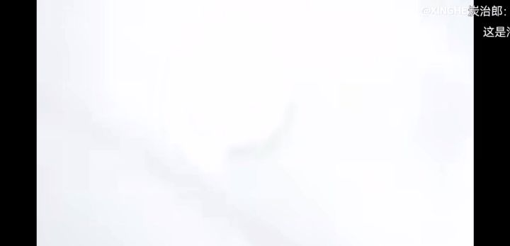 转发截图