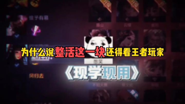 为什么说整活这一块还得看王者玩家截图
