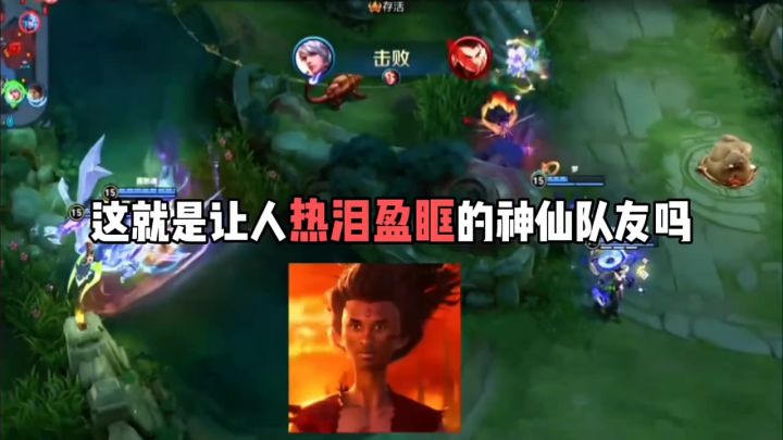 这就是让人热泪盈眶的神仙队友吗截图