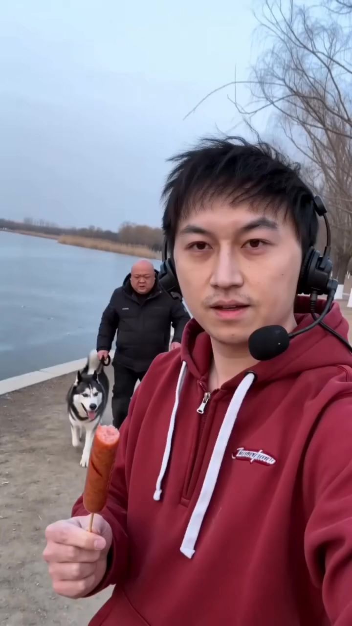 不煮菜别挡道哈哈哈有点意思截图
