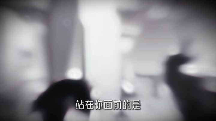 她就是那个一直在追寻家的人,维什戴尔。截图