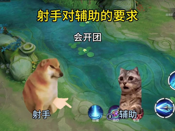射手对辅助的要求截图