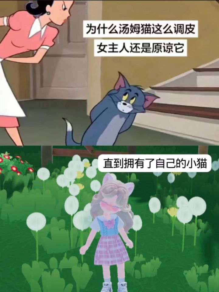 为什么汤姆猫这么调皮 女主人还是原谅它 直到拥有了自己的小猫.截图