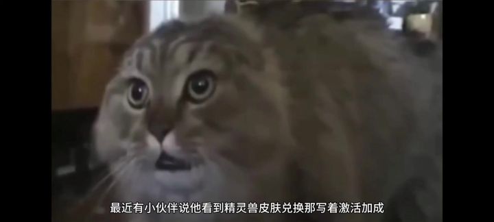 《云上城之歌》皮肤相关的搞清楚了,能少走很多弯路截图