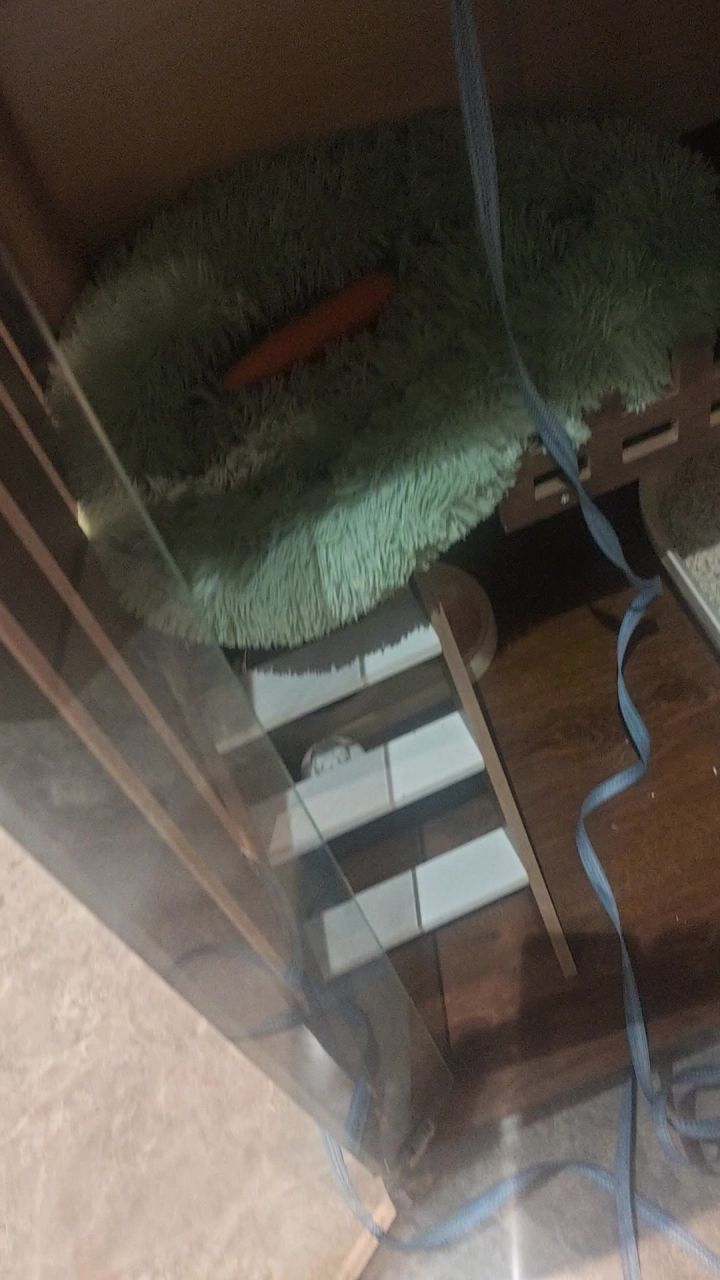 尝试了半天,还是不敢碰截图