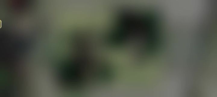 这bug好像都没修过。截图