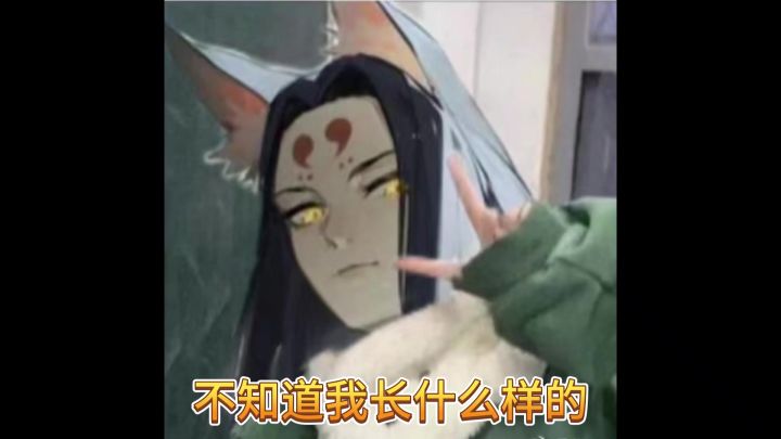 想知道我长什么样子截图