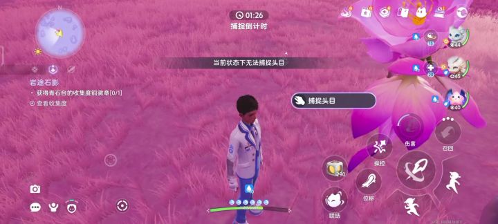 捉宠没实装吗?截图