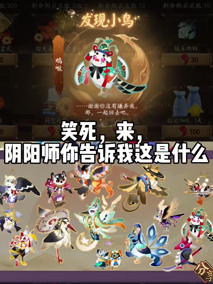 鸩鸠截图