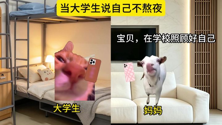 当大学生说自己不熬夜时截图