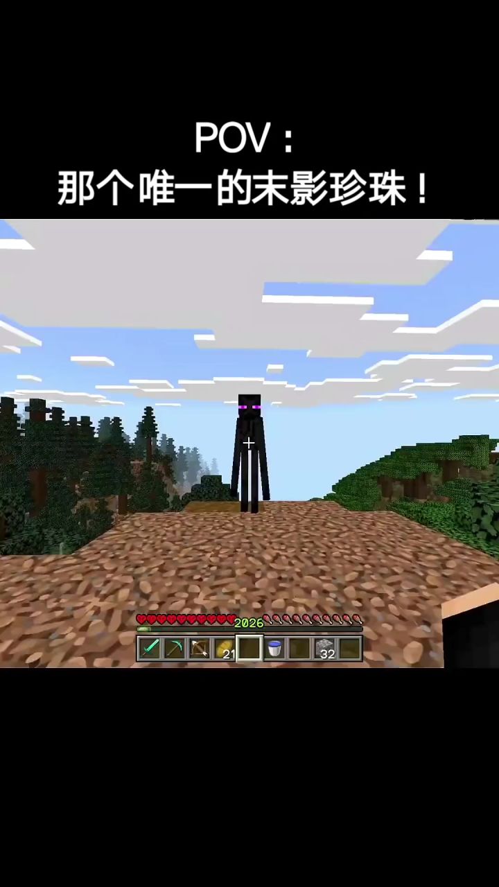 POV:那个唯一的末影珍珠!截图