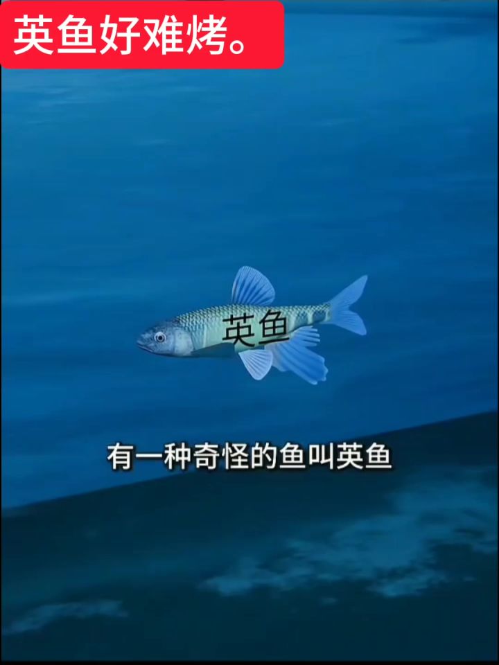 哈哈我不行了截图