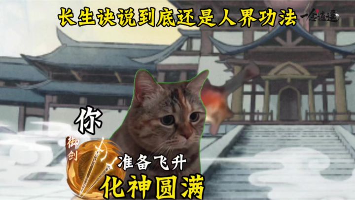 长生诀说到底还是人界功法截图
