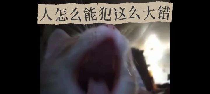 这个要怎么办?投掷到货架后面水果要拿到。截图