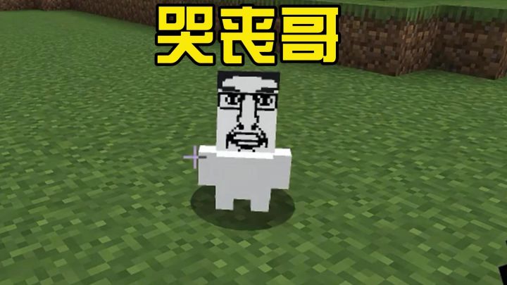这个模组添加了哭丧哥截图