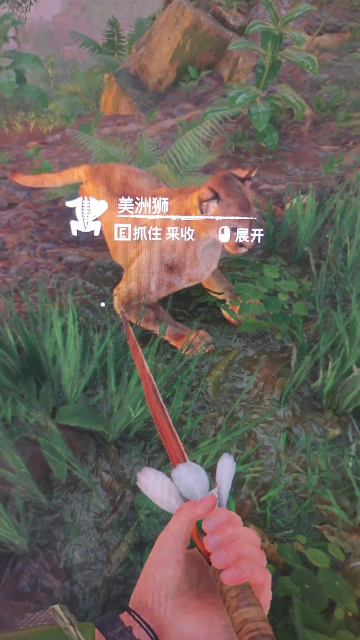 哈基狮截图