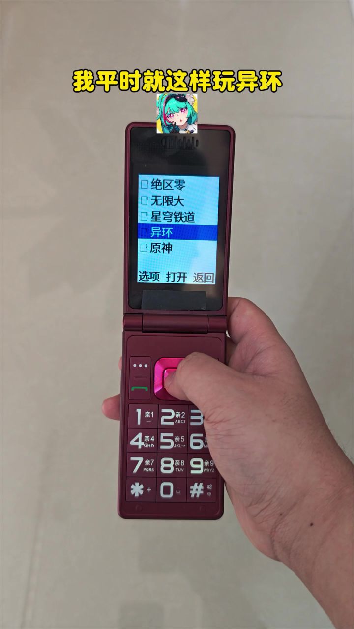 我平时就是这样玩异环的截图